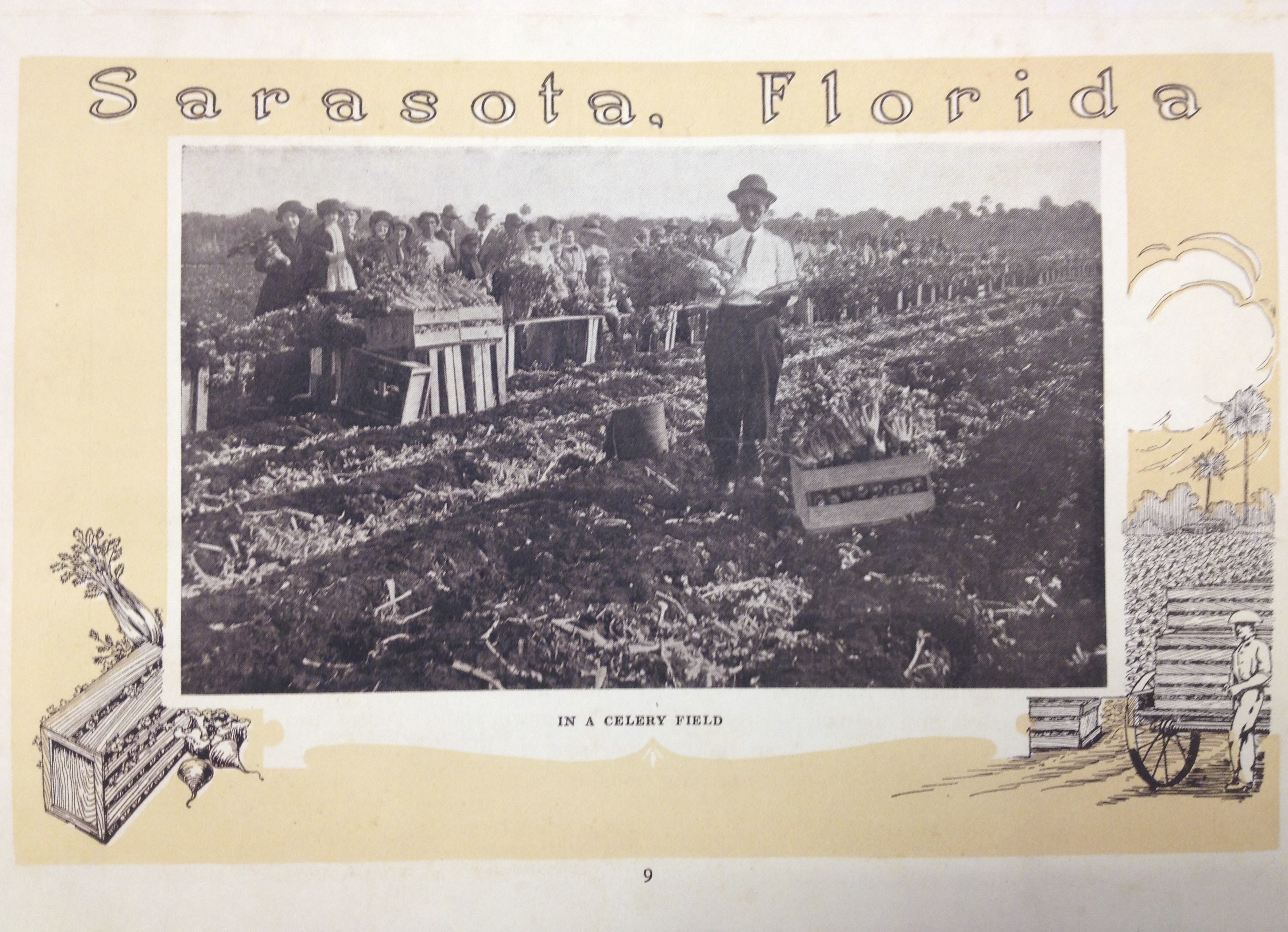 Sarasota, Florida and the Sarasota Bay District of Manatee County Brochure